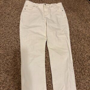 Madewell The Perfect Vintage Jean 29P 29 Petite White Denim Zip Fly Casual